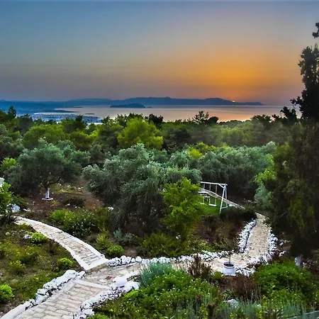 فيلة Evangelia *
