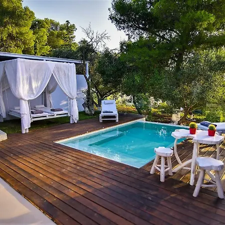 Evangelia חאניה